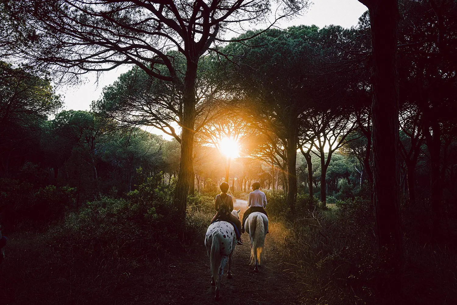 Horseback riding in the Tuscan Maremma from the Tombolo Reserve to the sea © Photo (c) Gianni Buonsante