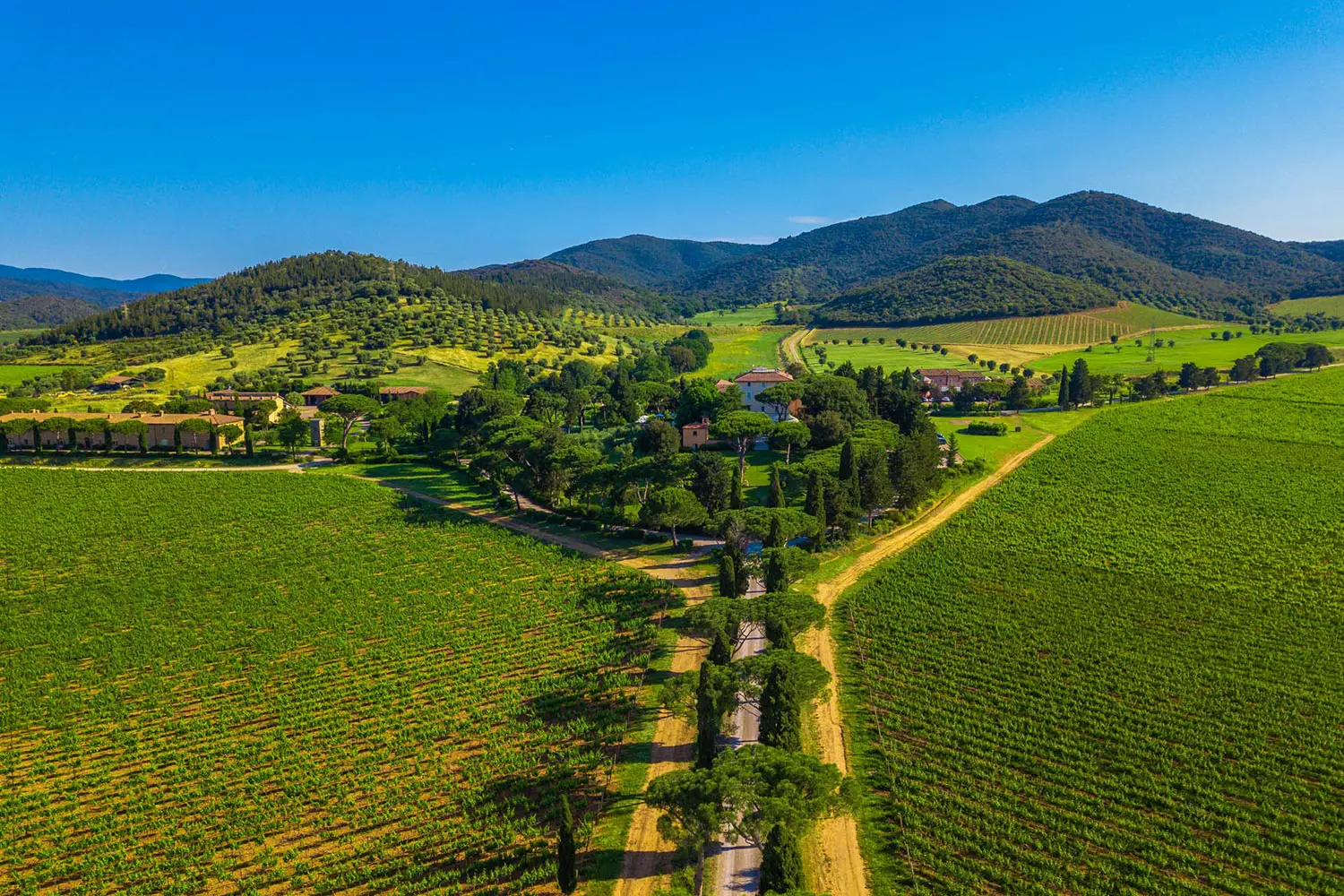 L'Andana Luxury Resort in Tuscany - Photo (c) Gianni Buonsante