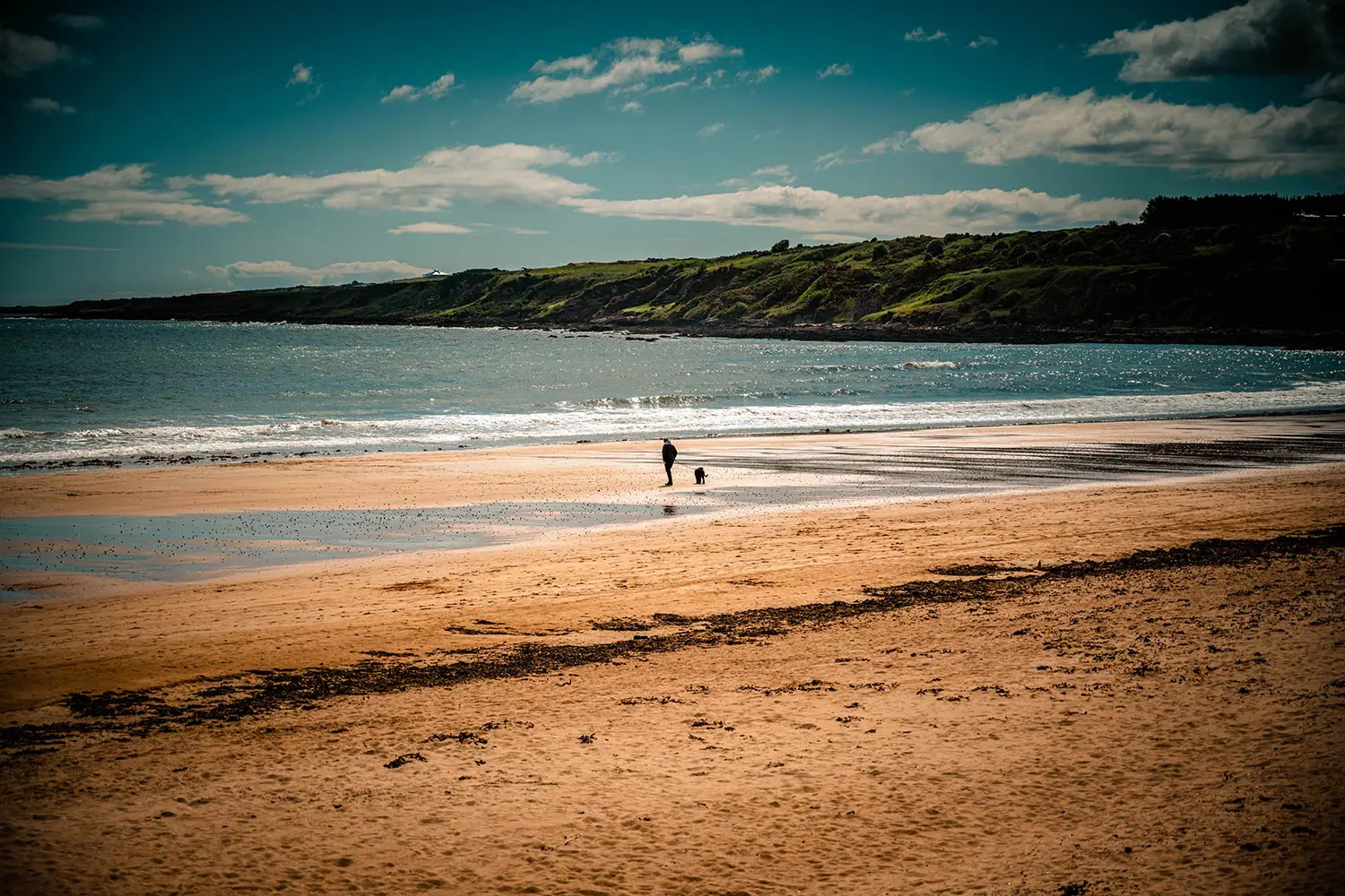 St Andrews East Sand & The Fife Coast, Scotland - Photo (c) Gianni Buonsante