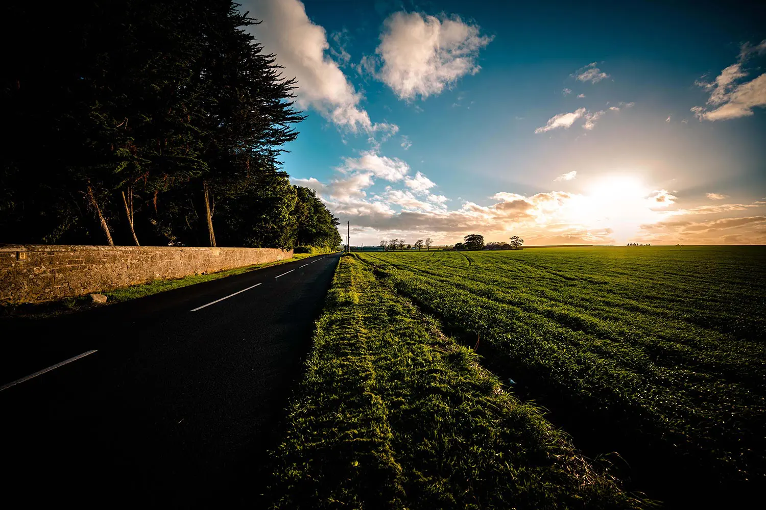 Green fields view at Sunset on the way to St Andrews © Photo (c) Gianni Buonsante